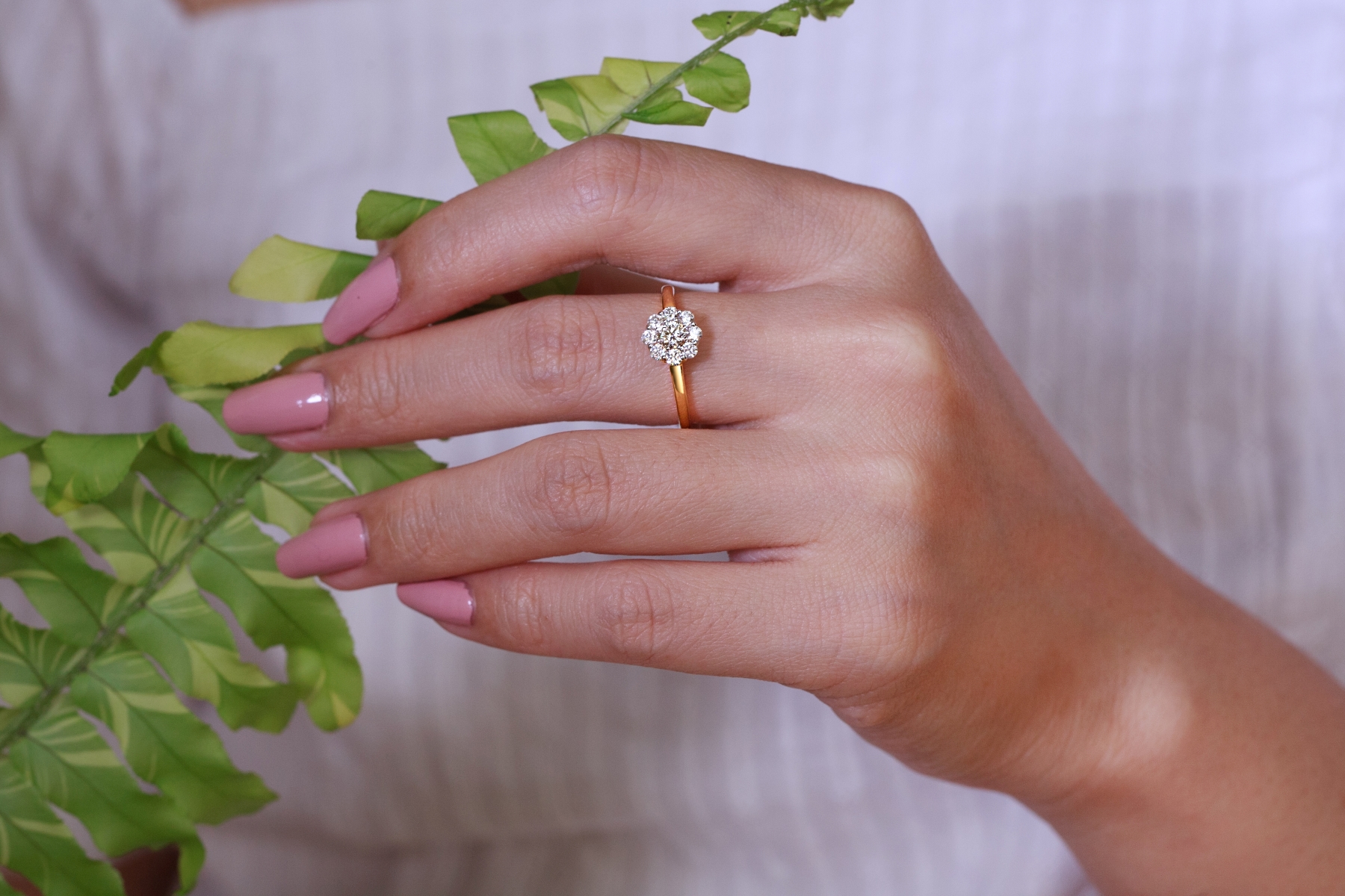 015-02-2026-ring-f cluster ring-2026
